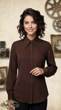 Vintage 70s Lady Arrow Brown Long Sleeve Button Down Shirt Polyester